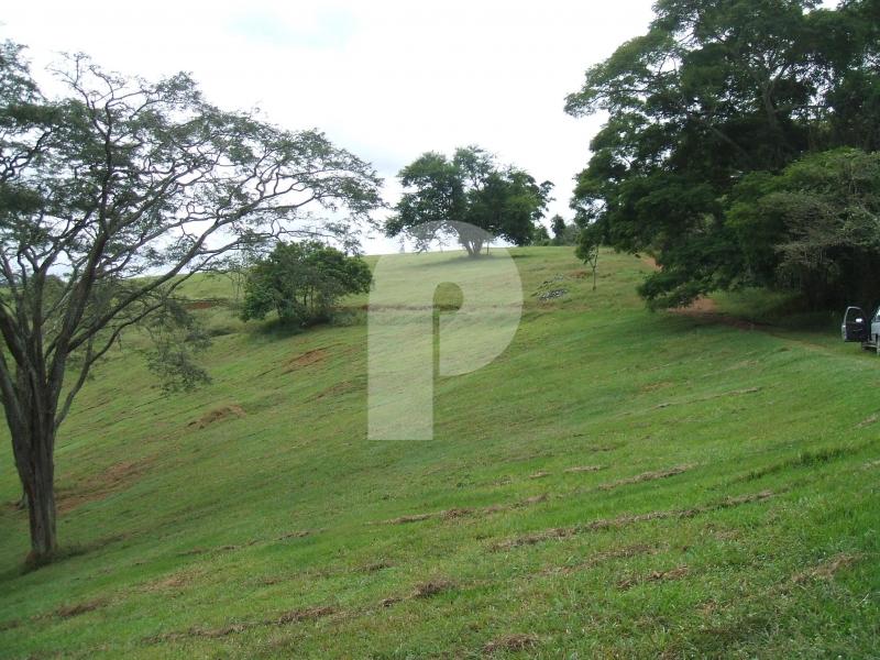 Foto-Imovel-ID005078No0011-fazenda--areal-.JPG