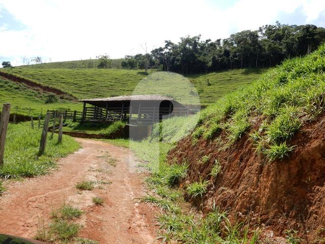 Foto-Imovel-ID007950No0049-fazenda--petropolis-.JPG