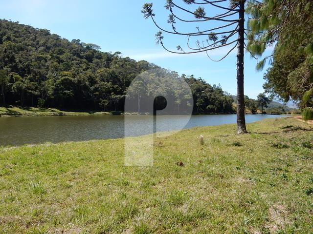Foto-Imovel-ID008096No0004-fazenda--teresopolis-.JPG