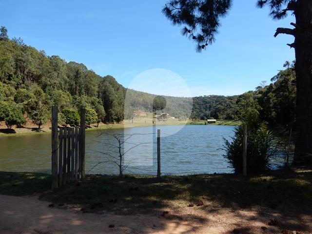Foto-Imovel-ID008096No0006-fazenda--teresopolis-.JPG