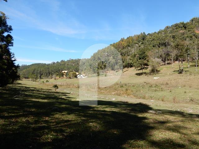 Foto-Imovel-ID008096No0030-fazenda--teresopolis-.JPG