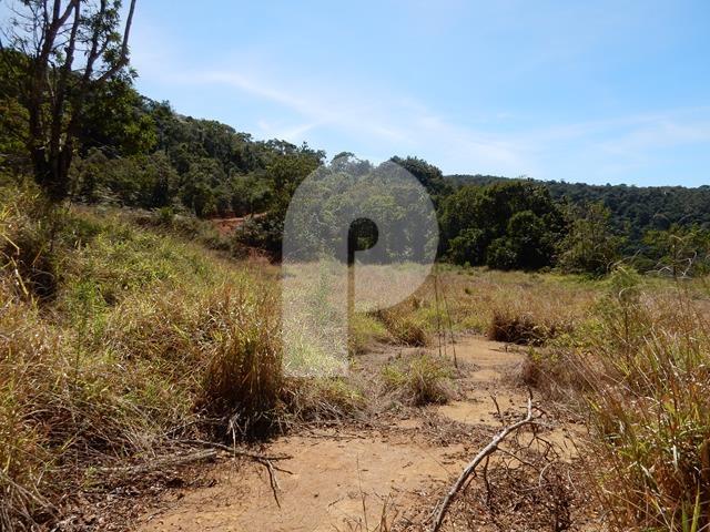 Foto-Imovel-ID008096No0031-fazenda--teresopolis-.JPG