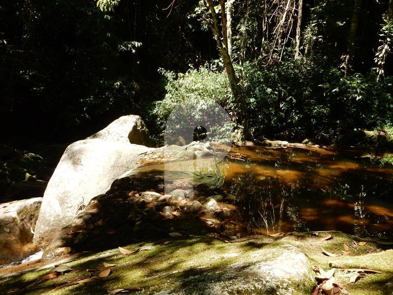 Foto-Imovel-ID100353No0007-pousada--petropolis-.JPG