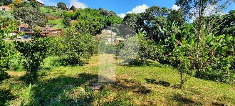 Foto-Imovel-ID101373No0004-terreno-comercial--petropolis--121838.jpeg