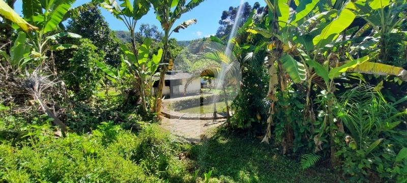 Foto-Imovel-ID101373No0005-terreno-comercial--petropolis--121838.jpeg