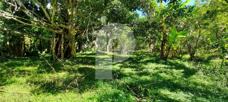 Foto-Imovel-ID101373No0006-terreno-comercial--petropolis--121839.jpeg