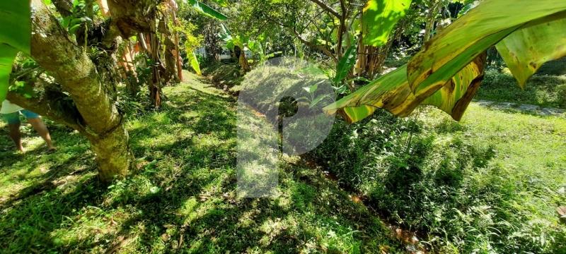 Foto-Imovel-ID101373No0007-terreno-comercial--petropolis--121839.jpeg