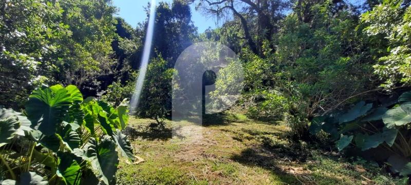 Foto-Imovel-ID101373No0008-terreno-comercial--petropolis--121839.jpeg