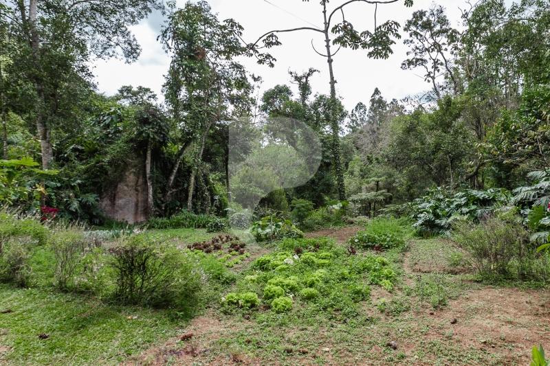 Foto-Imovel-ID101405No0024-fazenda-itaipava-petropolis--17390289135797.jpg