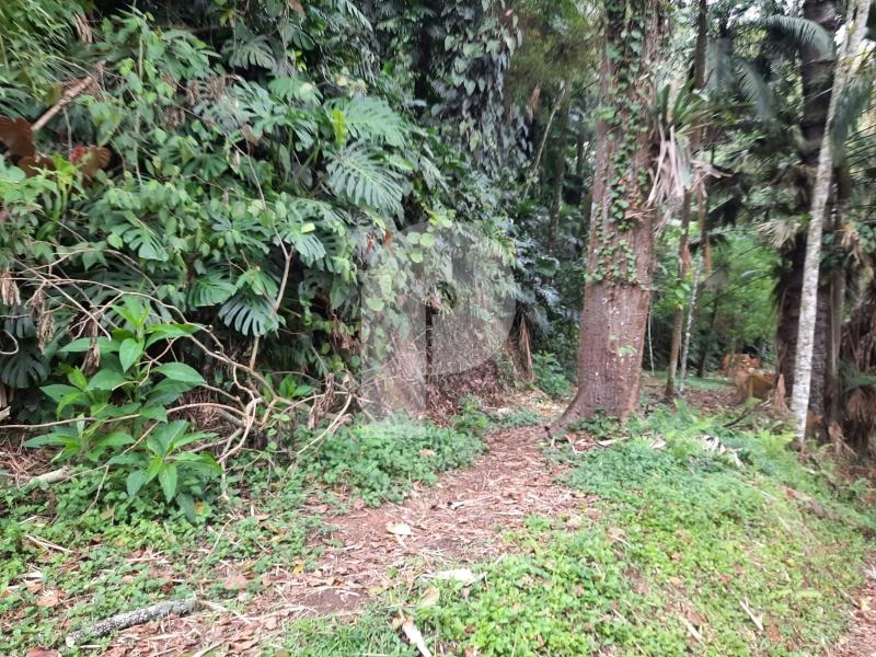 Foto-Imovel-ID101777No0001-terreno-comercial--petropolis--16643793469392.jpeg