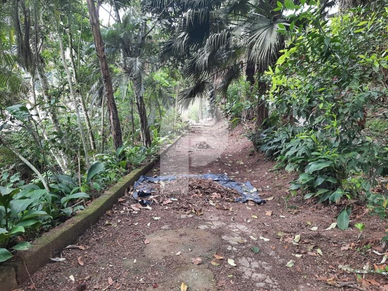 Foto-Imovel-ID101777No0002-terreno-comercial--petropolis--16643793472576.jpeg