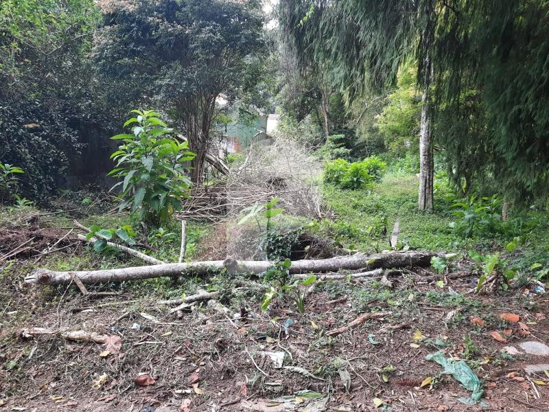 Foto-Imovel-ID101777No0003-terreno-comercial--petropolis--16643793474313.jpeg