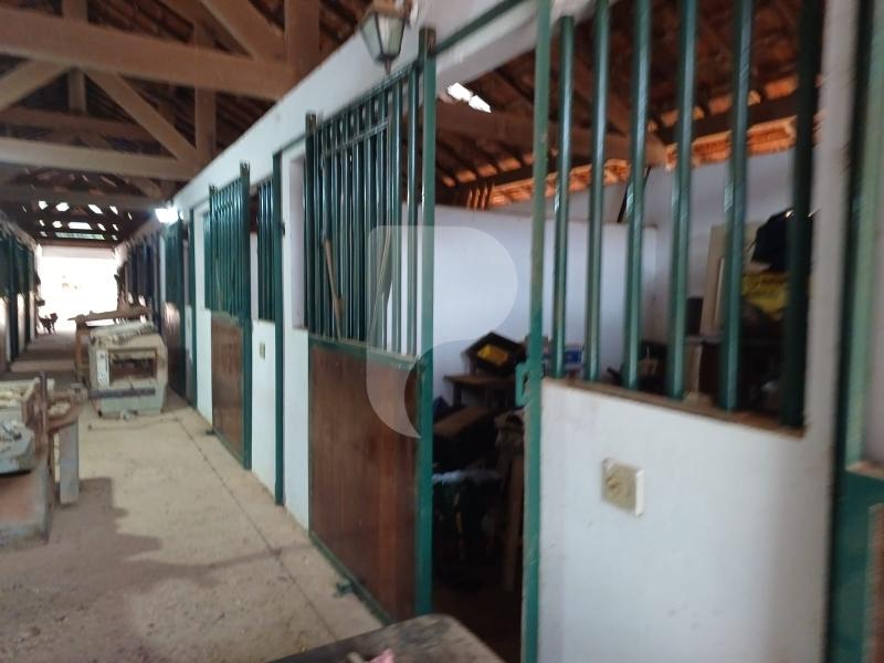 Foto-Imovel-ID102173No0007-fazenda--petropolis--17231466207598.jpeg