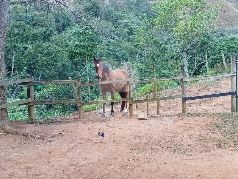 Foto-Imovel-ID102173No0008-fazenda--petropolis--17231466208677.jpeg