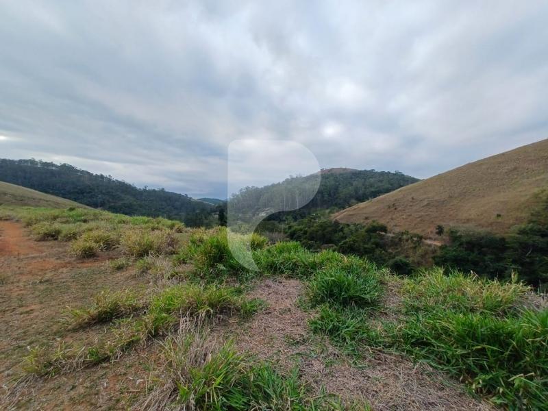 Foto-Imovel-ID102173No0027-fazenda--petropolis--17231466373774.jpeg