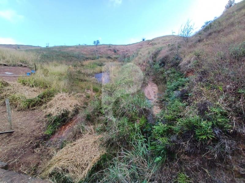 Foto-Imovel-ID102173No0034-fazenda--petropolis--17231466382942.jpeg