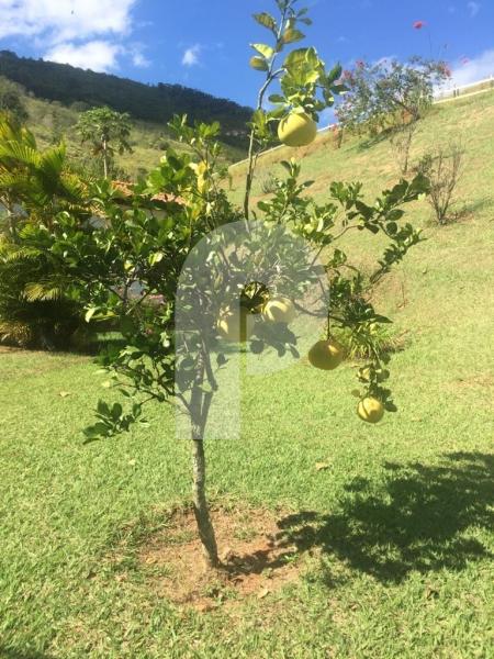 Fazenda - Petrópolis, Secretário