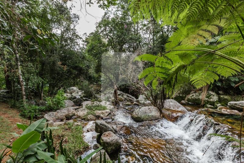 Fazenda - Petrópolis, Itaipava