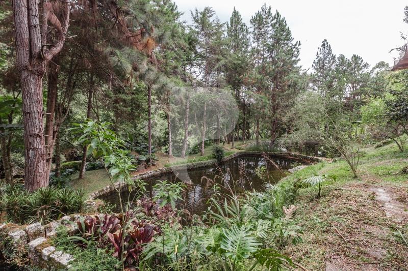 Fazenda - Petrópolis, Itaipava