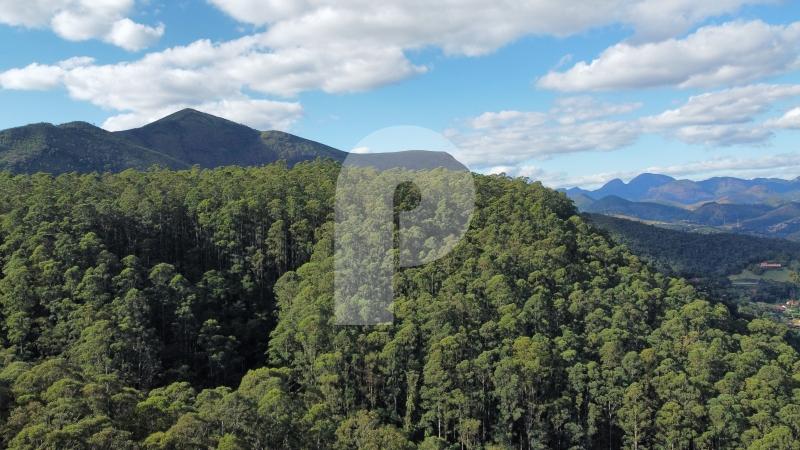 Terreno Comercial - Petrópolis, Itaipava