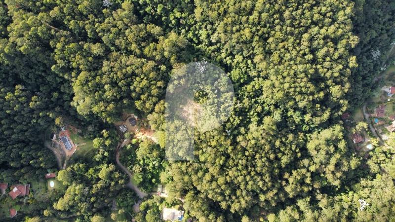 Terreno Comercial - Petrópolis, Itaipava