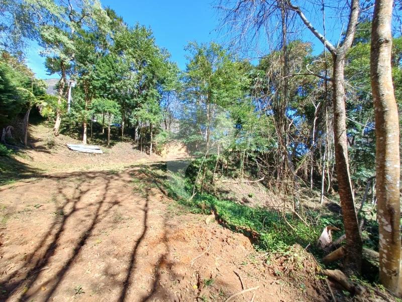 Terreno Residencial - Petrópolis, Itaipava