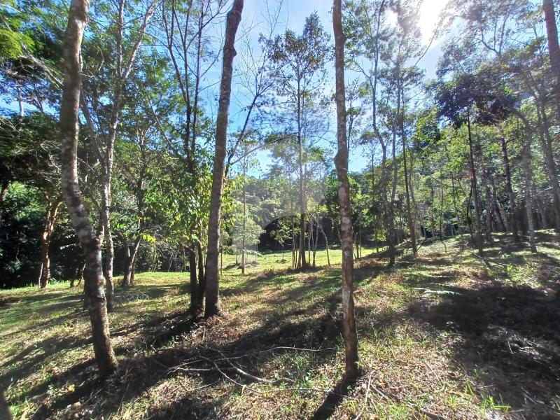 Terreno Residencial - Petrópolis, Itaipava