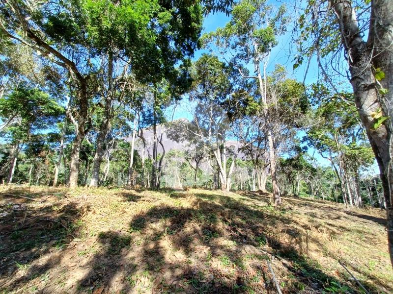 Terreno Residencial - Petrópolis, Itaipava