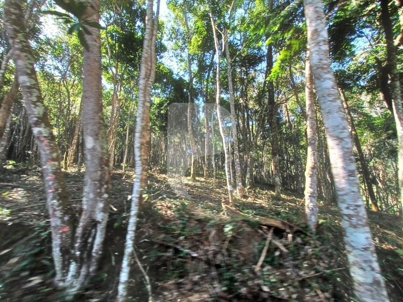 Terreno Residencial - Petrópolis, Itaipava