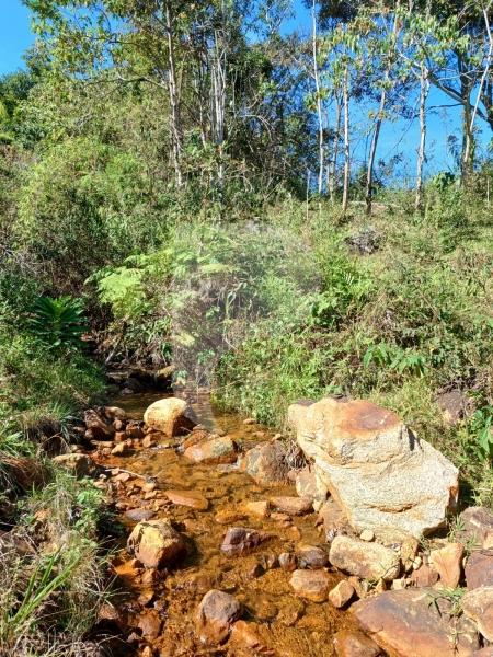 Terreno Residencial - Petrópolis, Itaipava