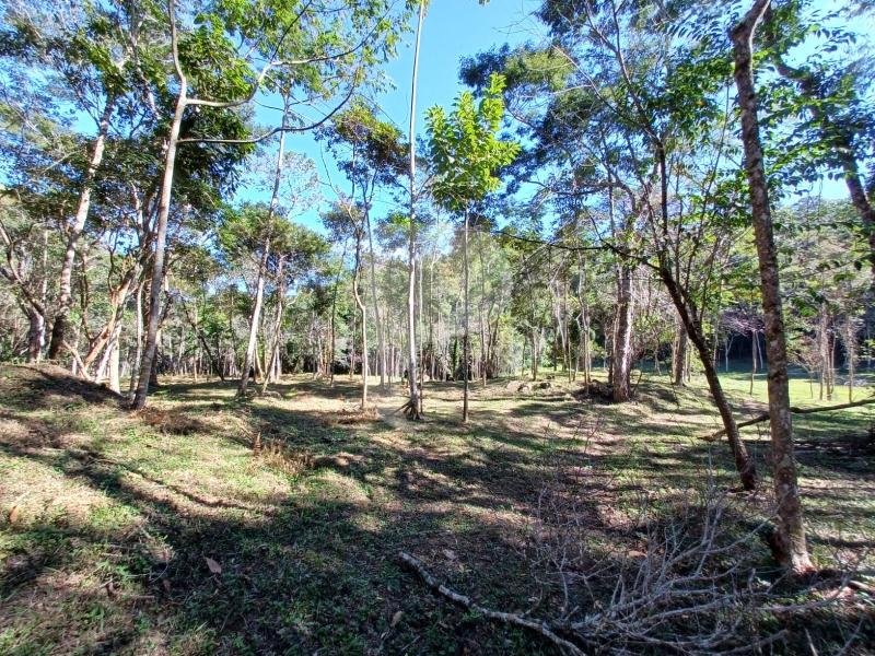 Terreno Residencial - Petrópolis, Itaipava