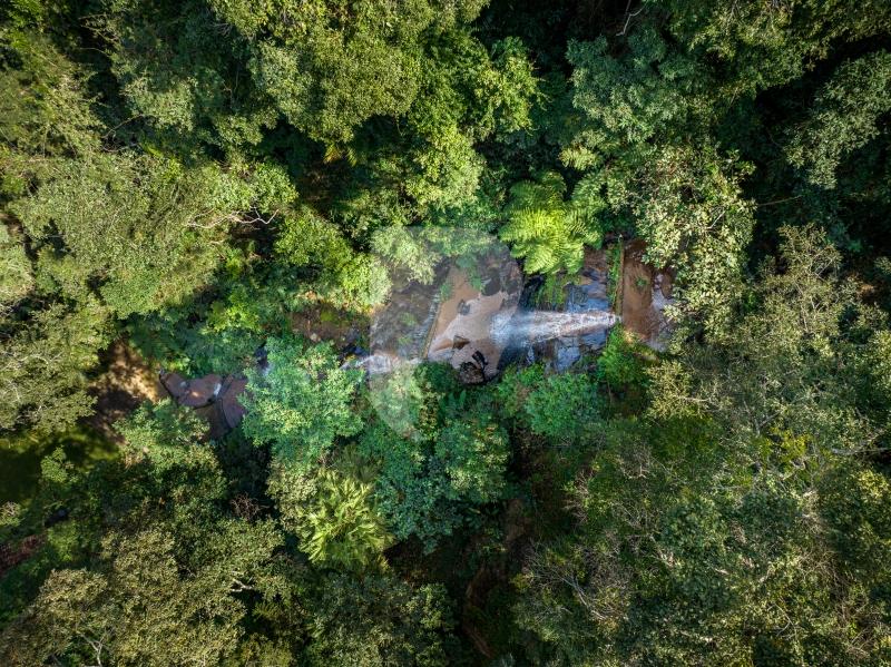 Casa - Petrópolis, Araras