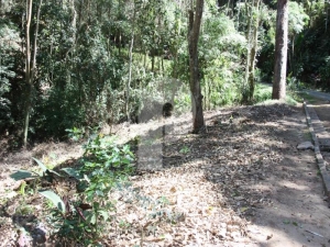 Terreno Residencial - Petrópolis, Itaipava