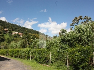 Terreno Comercial - Petrópolis, Itaipava