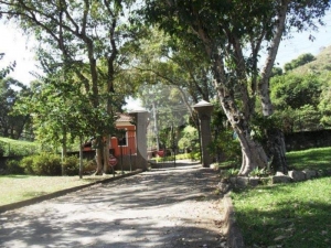Terreno Residencial - Areal, Areal