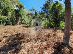 Fazenda - Petrópolis, Brejal