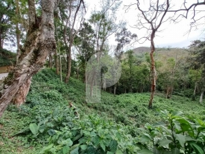 Terreno Residencial - Petrópolis, Pedro do Rio