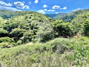 Terreno Residencial - Petrópolis, Secretário