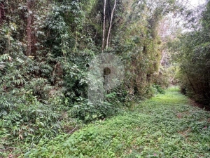 Terreno Residencial - Petrópolis, Fazenda Inglesa