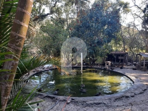 Sítio - Petrópolis, Posse