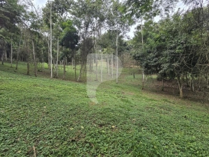 Terreno Residencial - Petrópolis, Secretário